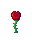 RedRose.png