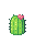 Cactus.png