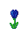 BlueTulip.png